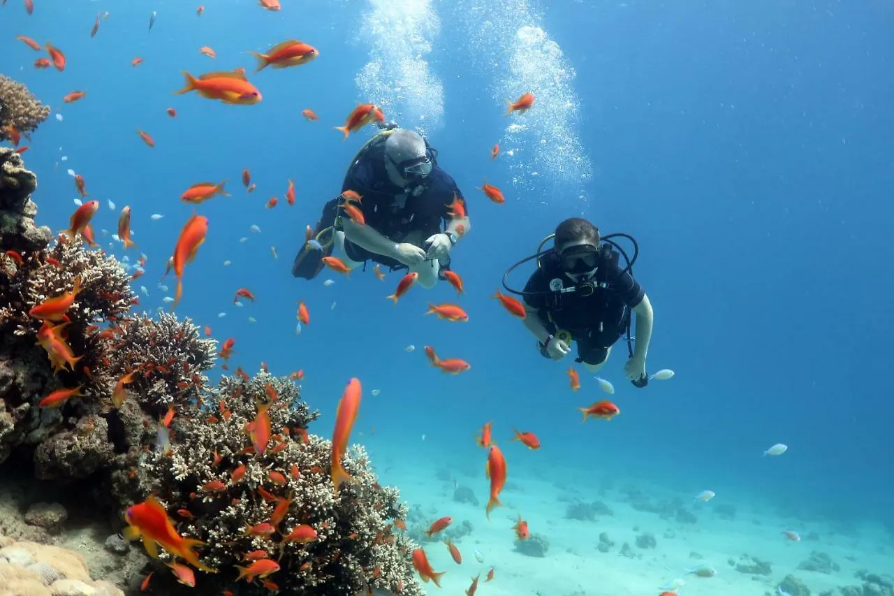 Hostel In Diving Center Aqua Star Eilat